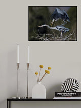 Beginning of something good Poster och Canvastavla