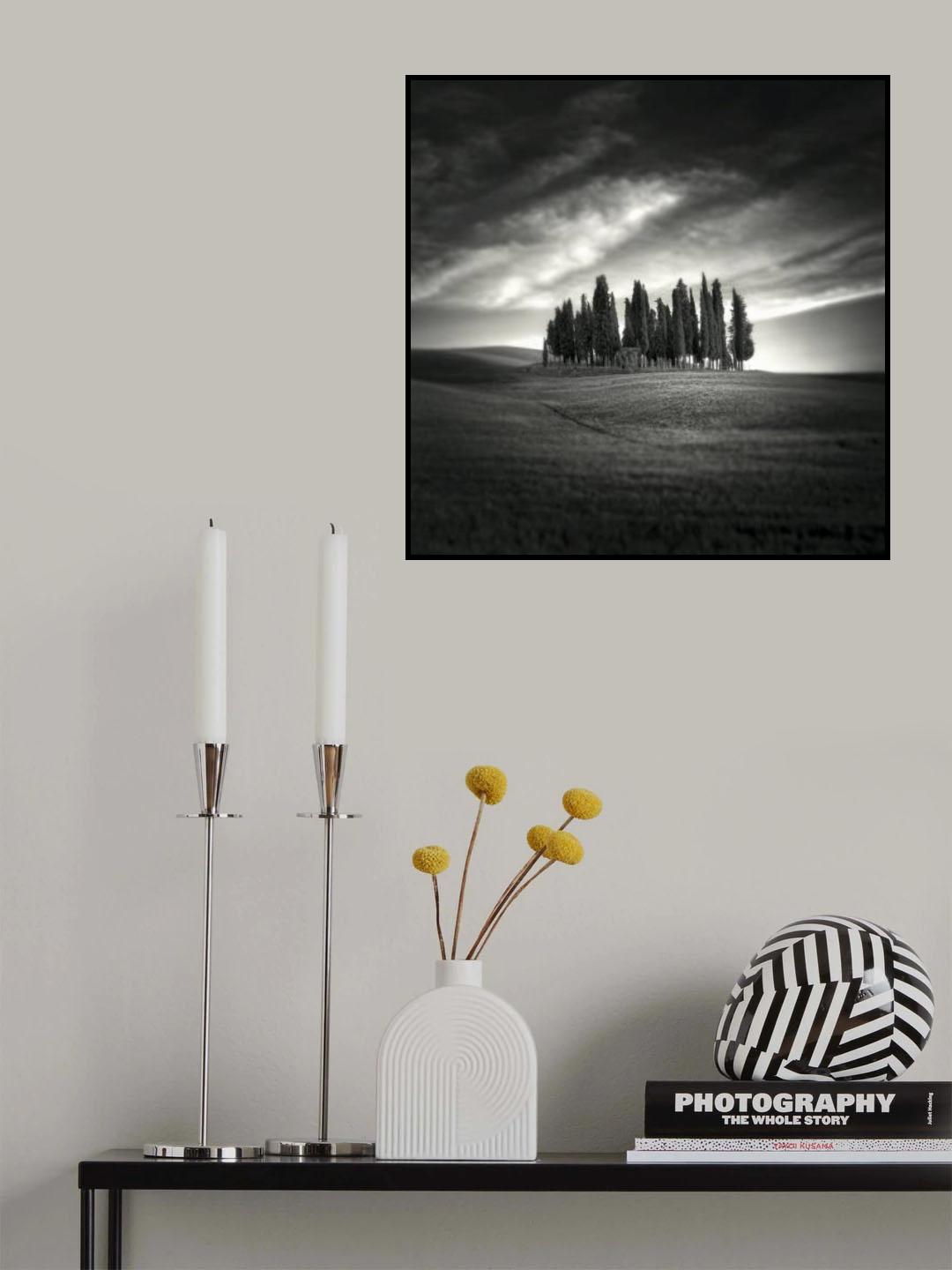 Tuscany Poster och Canvastavla