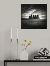 Tuscany Poster och Canvastavla