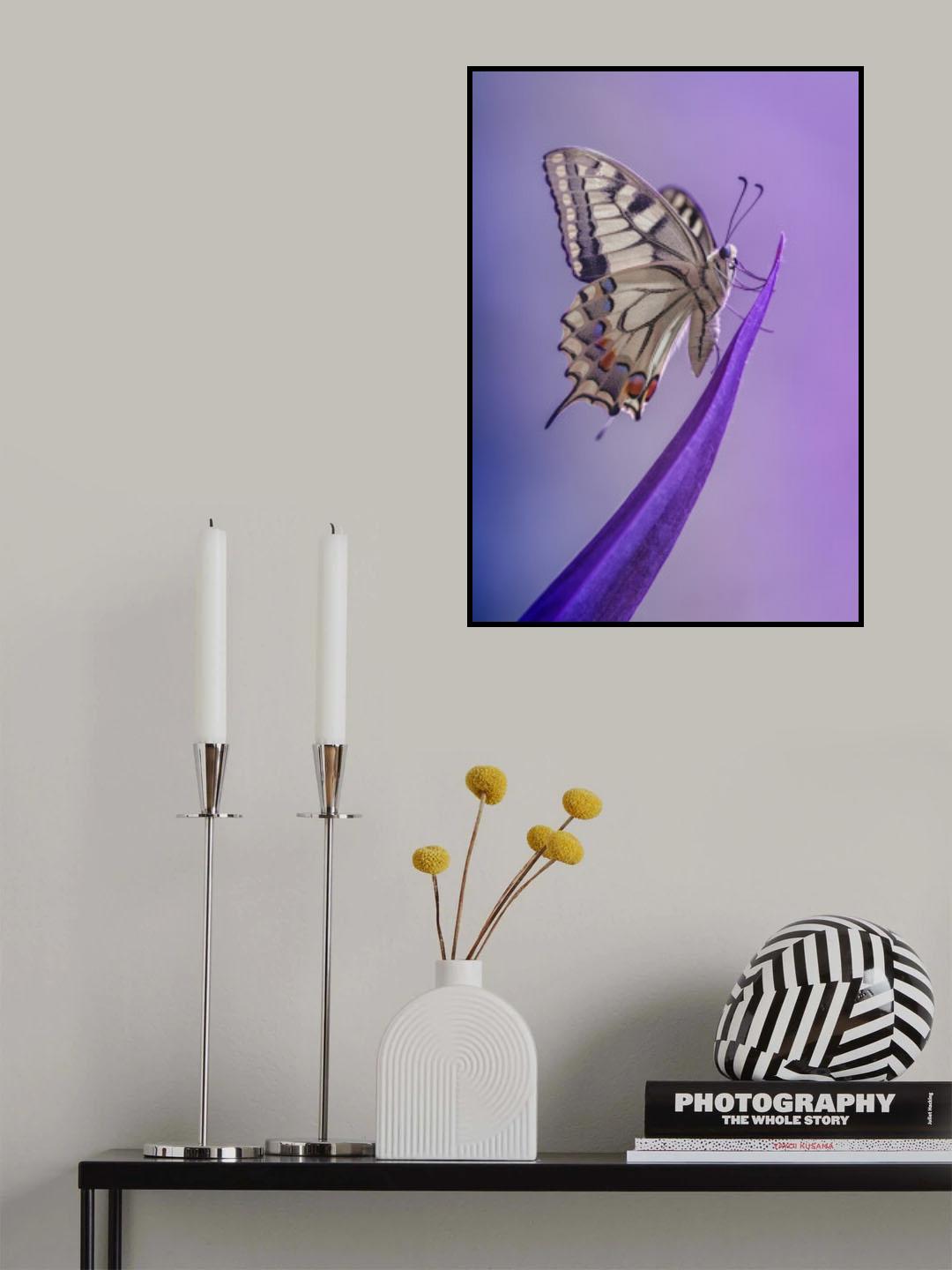 the king Poster och Canvastavla