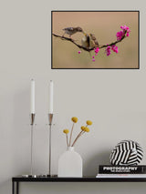 Feeding Chicks Poster och Canvastavla