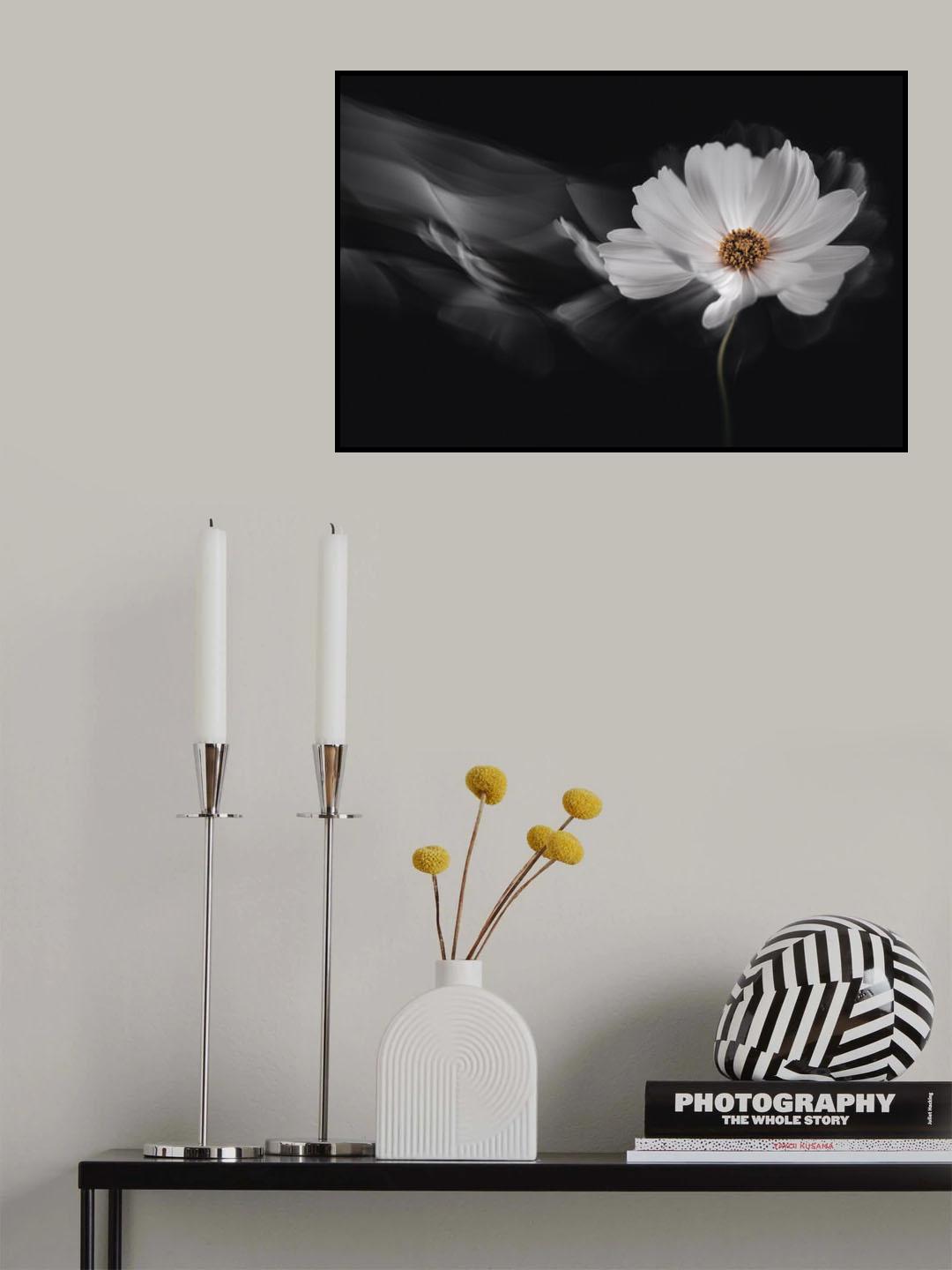 Symphony White Poster och Canvastavla