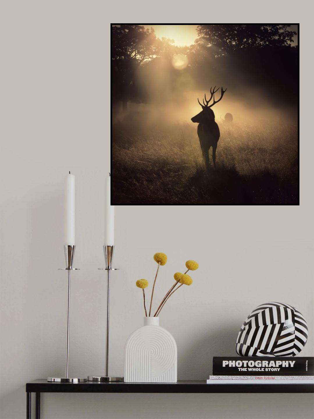 Light means everything Poster och Canvastavla