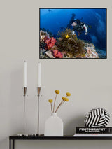 Anemone and a diver Poster och Canvastavla