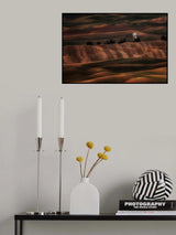 sunset lights over wheat fields Poster och Canvastavla