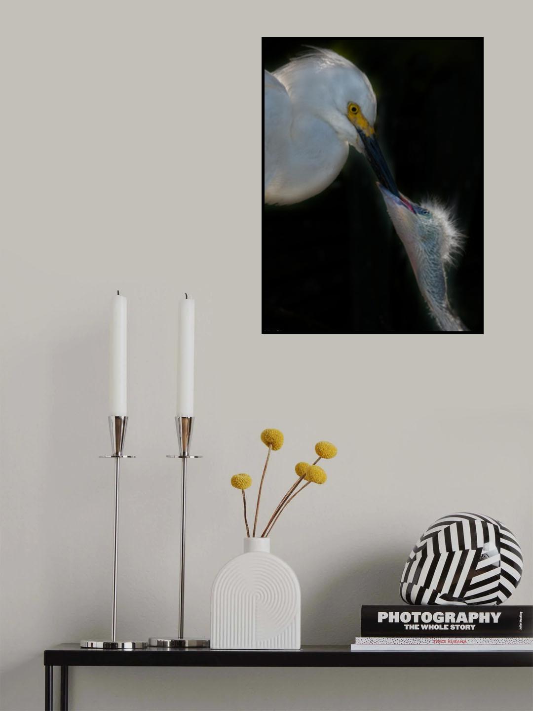 Feeding Poster och Canvastavla