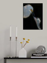 Feeding Poster och Canvastavla