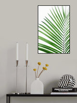 Green Palm Leaf Poster och Canvastavla
