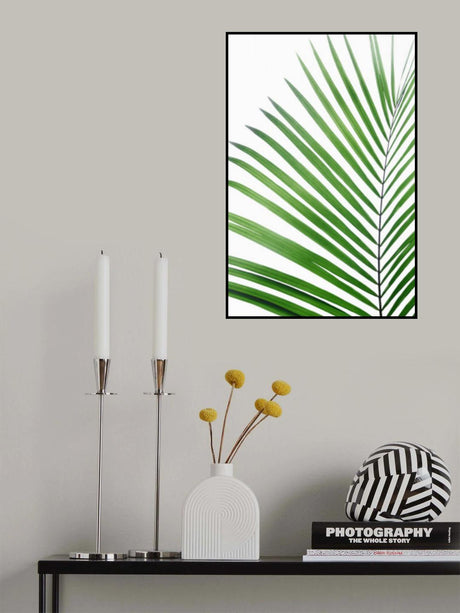 Green Palm Leaf Poster och Canvastavla