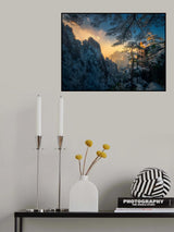 After snow Poster och Canvastavla