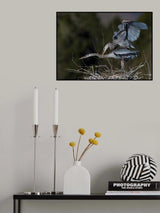That time of the year Poster och Canvastavla