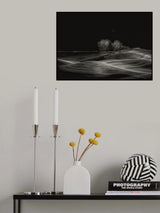 Silent Fields Poster och Canvastavla