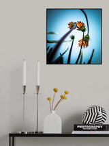 FlowerLove Poster och Canvastavla