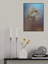 White-tailed Skimmer Poster och Canvastavla