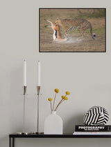 Catched Poster och Canvastavla