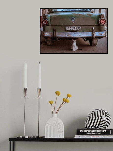 Cuban Cat with Car Poster och Canvastavla