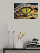 EYE Poster och Canvastavla