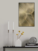 Salsify Seed Head Closeup Poster och Canvastavla