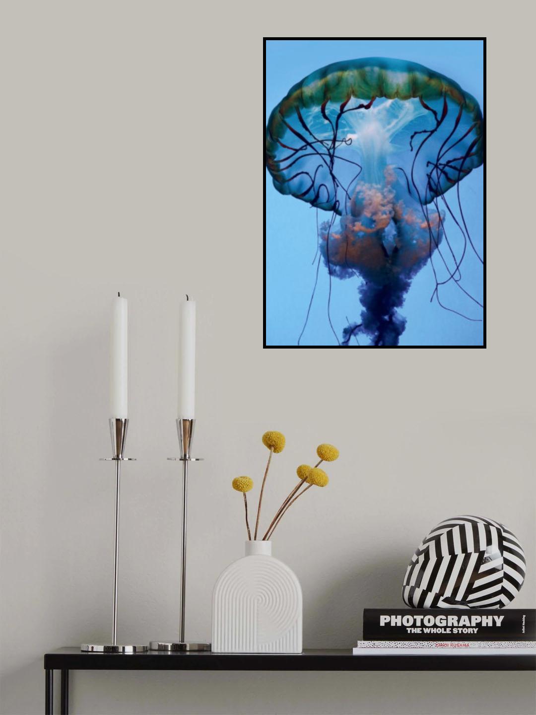 The parts of a Jelly Poster och Canvastavla