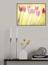 tulips Poster och Canvastavla