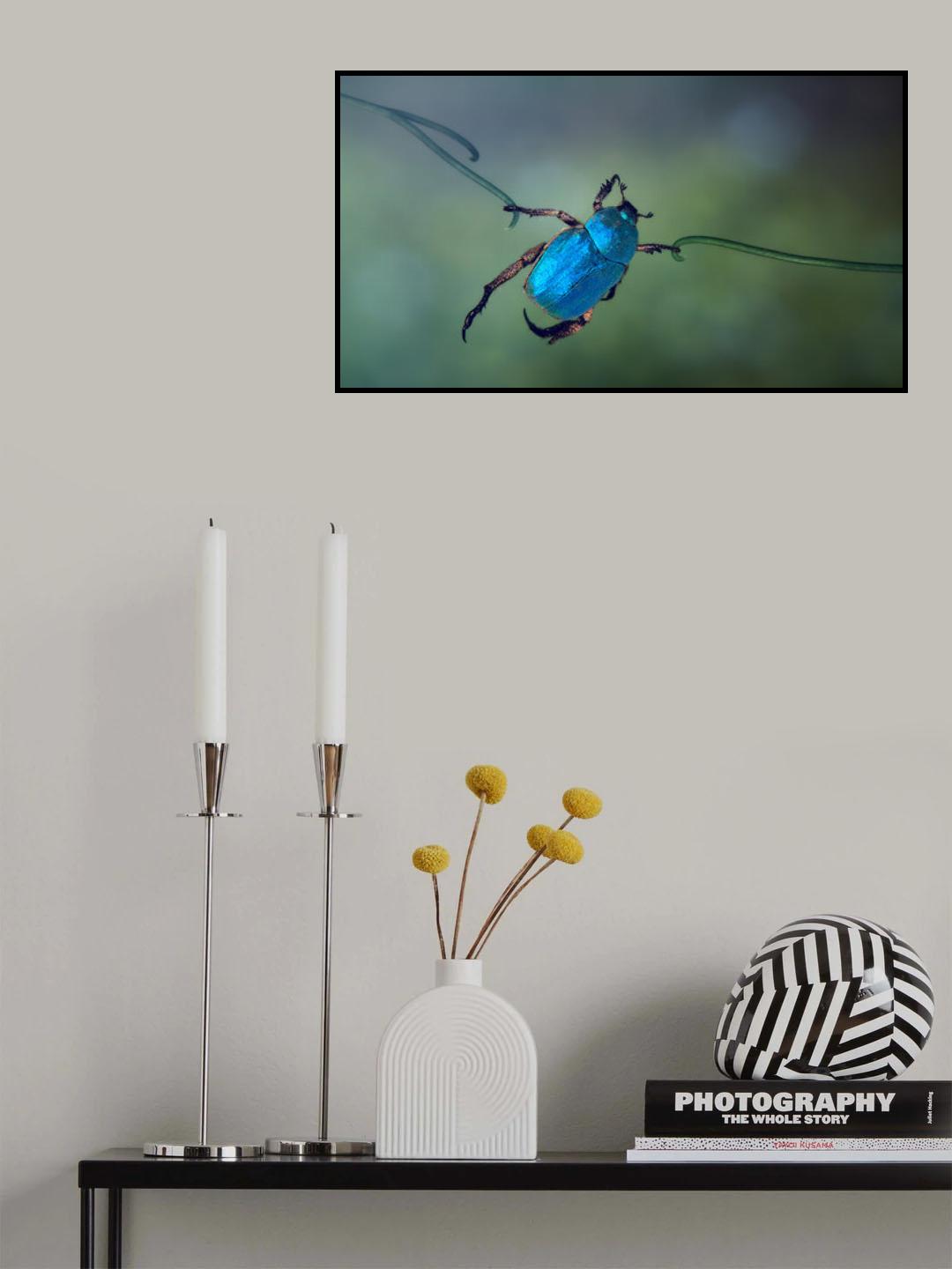 The acrobat Poster och Canvastavla
