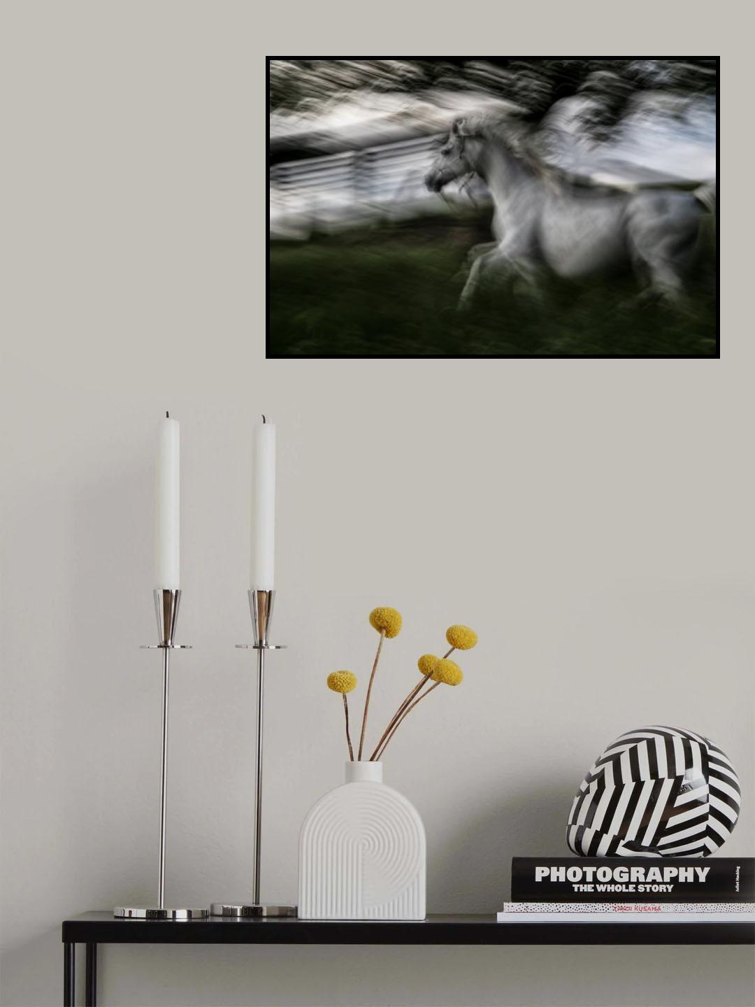 In akcion Poster och Canvastavla