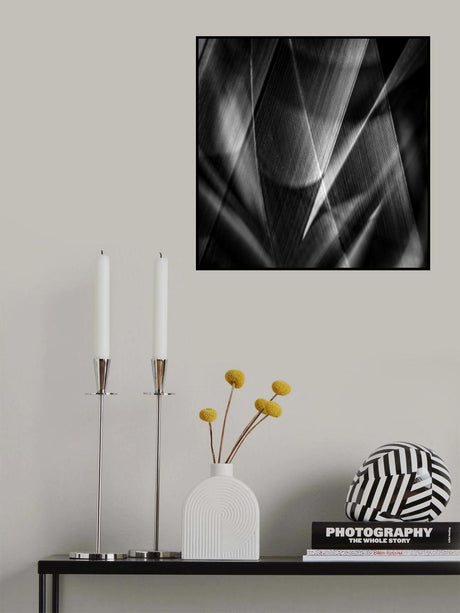 Shadows &amp; edges … Poster och Canvastavla