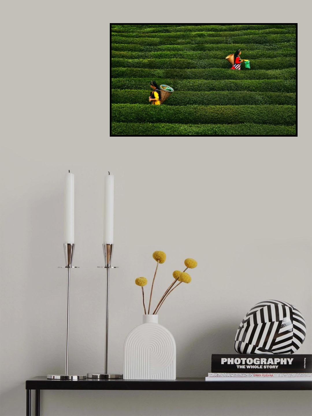 tea garden Poster och Canvastavla