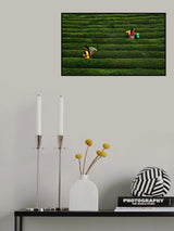 tea garden Poster och Canvastavla