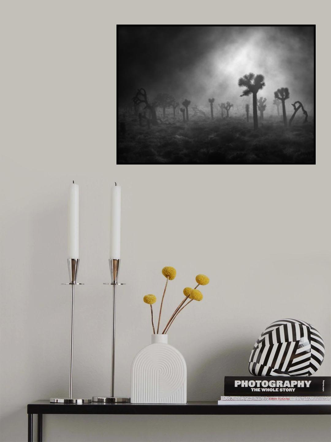 Mysterious forest Poster och Canvastavla