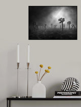 Mysterious forest Poster och Canvastavla