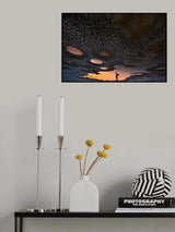 Dream of flying Poster och Canvastavla