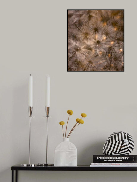new world Poster och Canvastavla