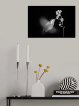 Let's dancing Poster och Canvastavla