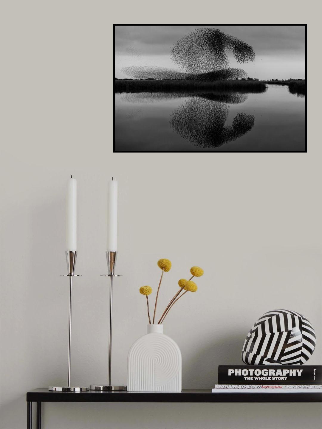 What do you see? Poster och Canvastavla