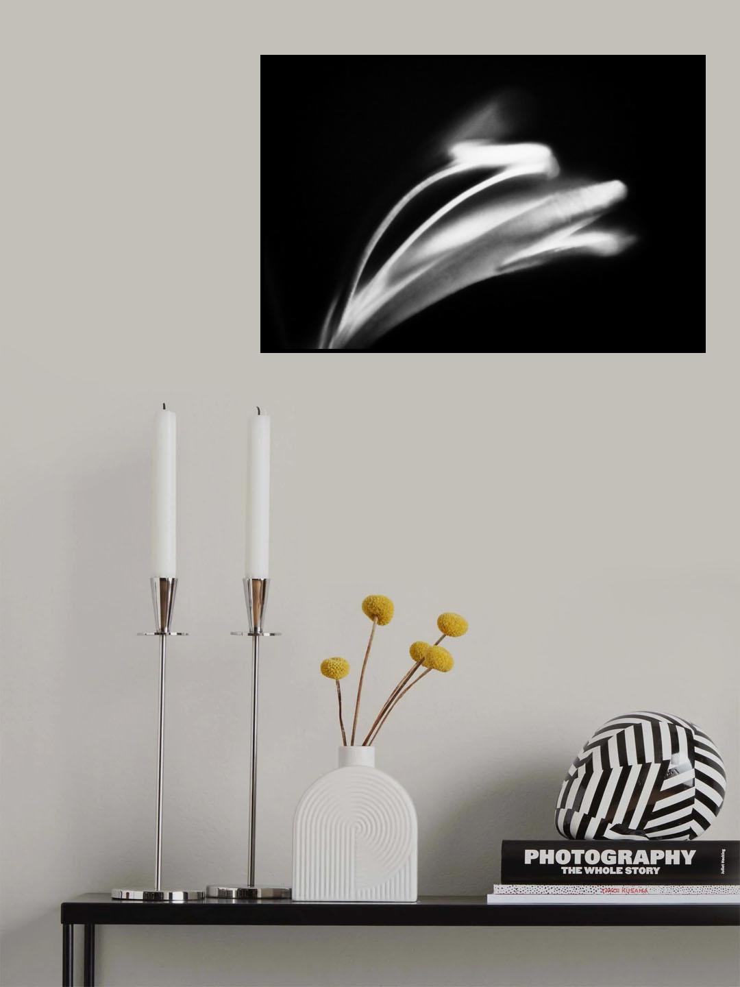 Poster och Canvastavla