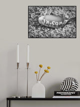 1x Poster och Canvastavla