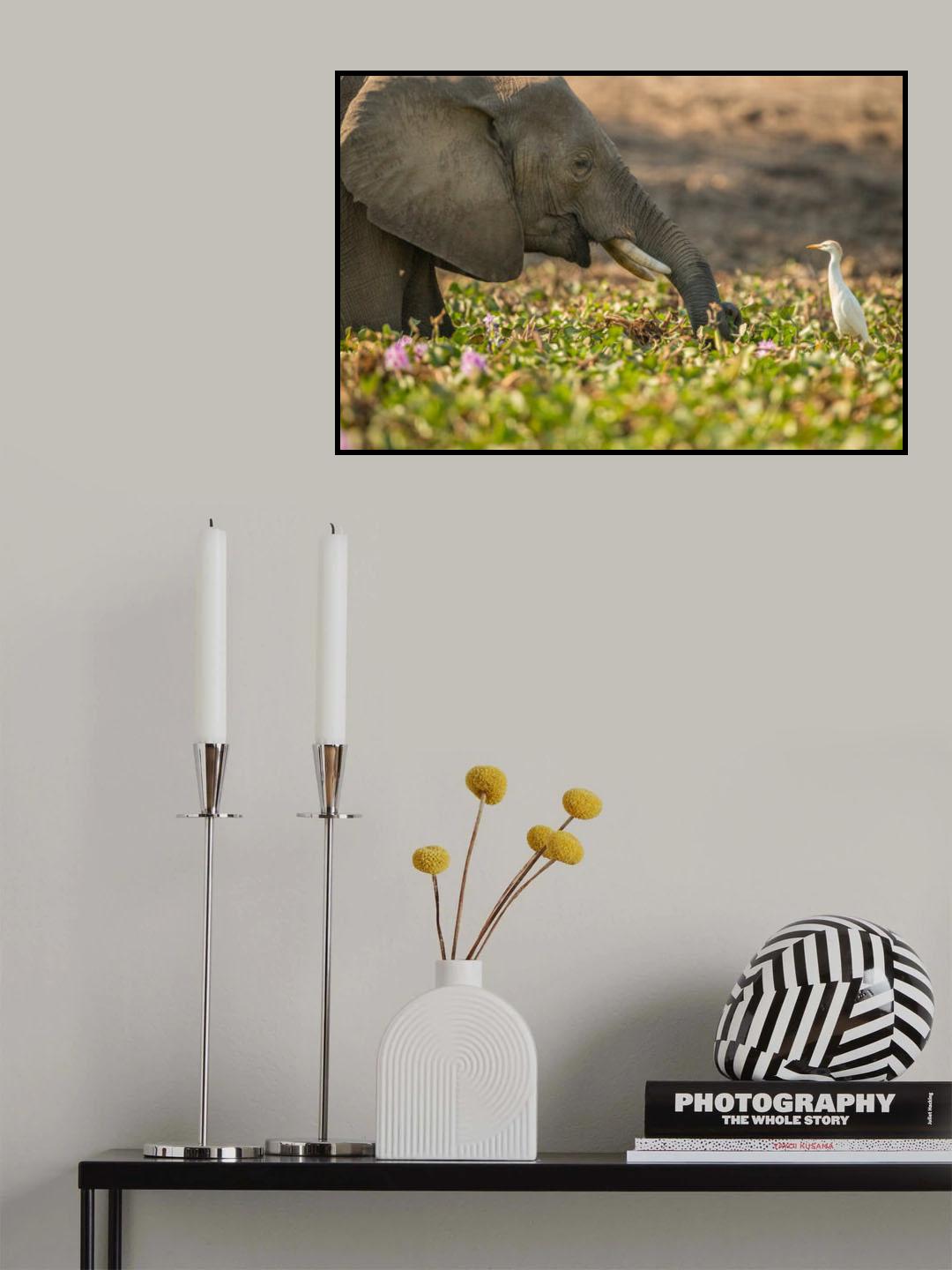 MY LITTLE FRIEND Poster och Canvastavla