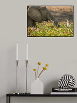 MY LITTLE FRIEND Poster och Canvastavla