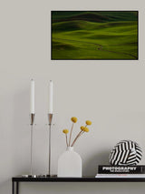 Rolling hills at Palouse Poster och Canvastavla