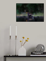Soooo Poster och Canvastavla