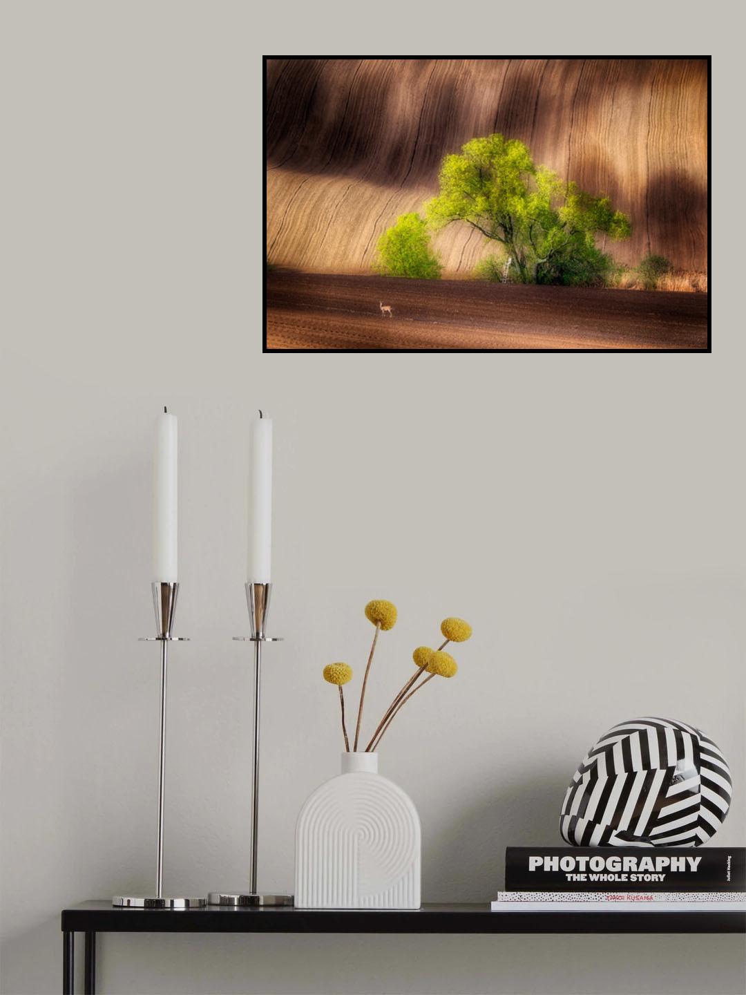 on the fields Poster och Canvastavla