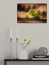 on the fields Poster och Canvastavla