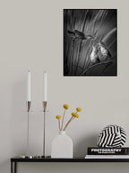 Hungry 2 Poster och Canvastavla