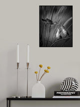 Hungry 2 Poster och Canvastavla