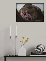 Bedouins of Iraq Poster och Canvastavla
