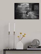 Poster och Canvastavla