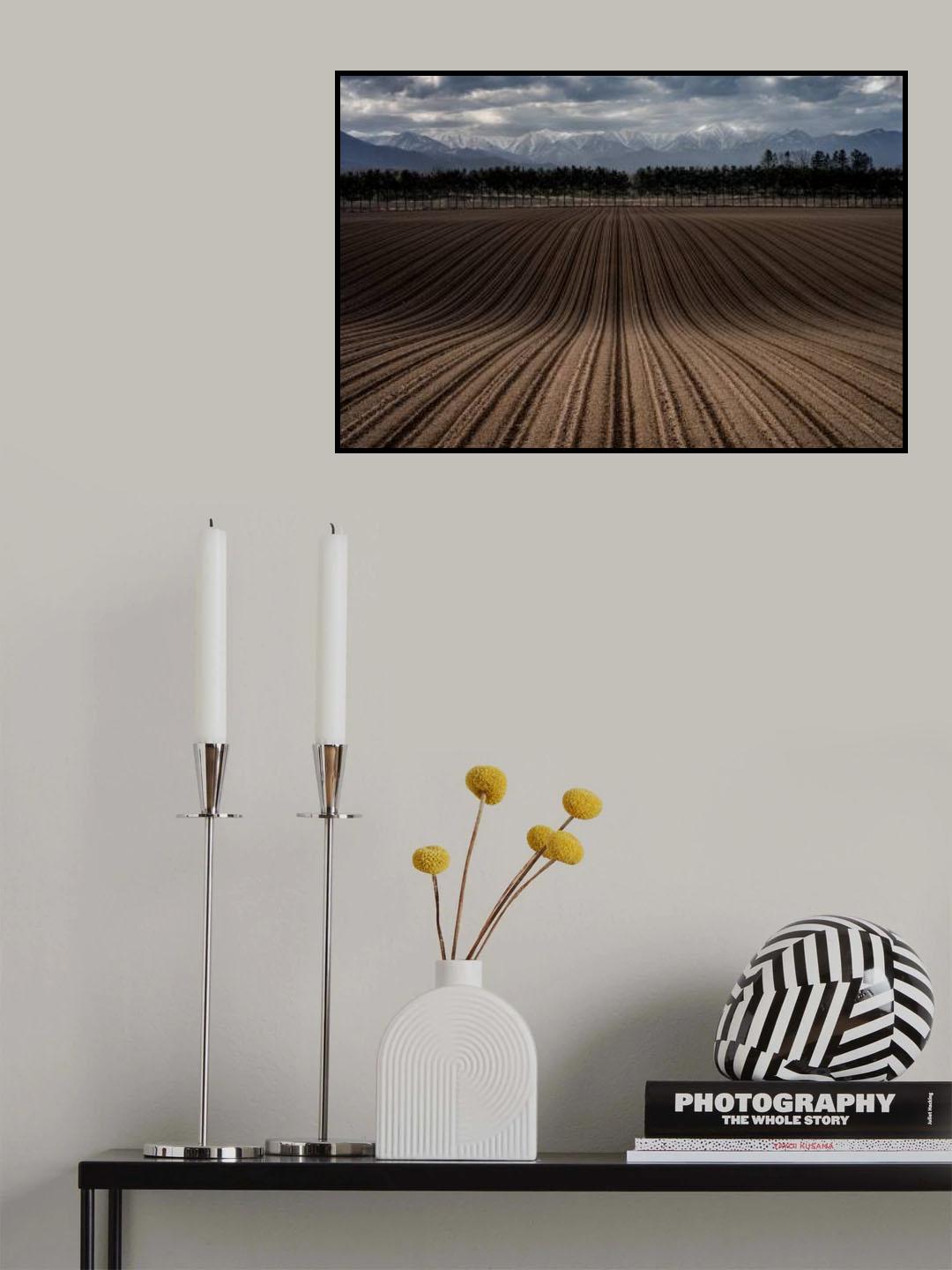 Line wave Poster och Canvastavla