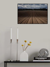 Line wave Poster och Canvastavla