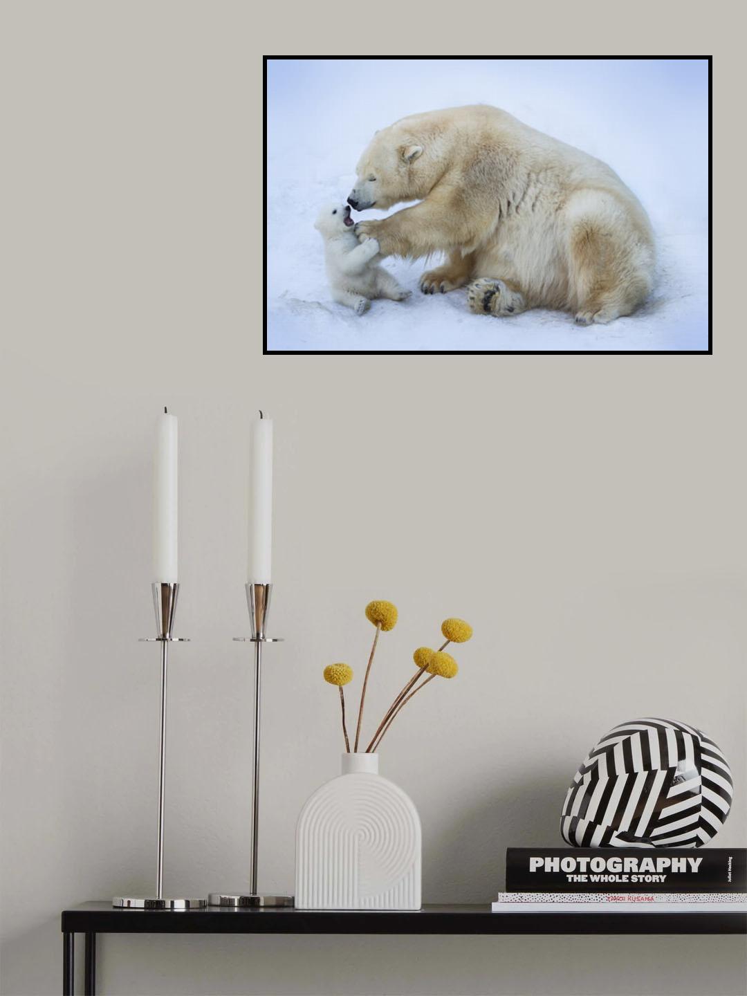 Polar bear with mom Poster och Canvastavla